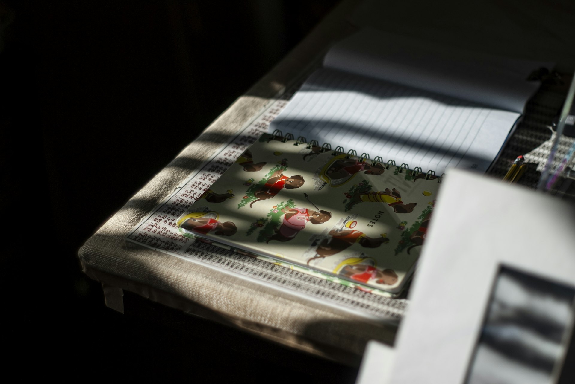 Notebooks and worksheets spread across a table in afternoon light